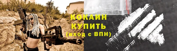 прущая мука Дмитриев