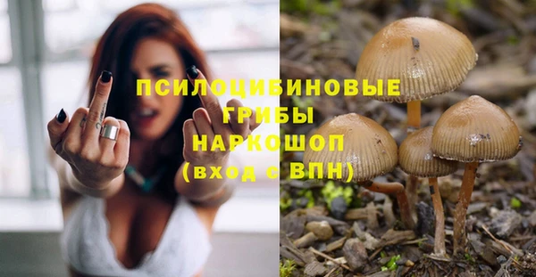 мяу мяу кристалл Дмитров