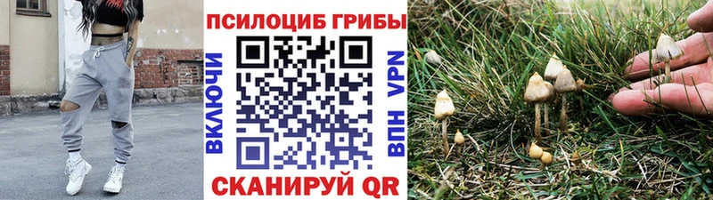 Псилоцибиновые грибы Psilocybine cubensis  Данилов 